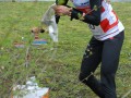 14testlauf2 lgross